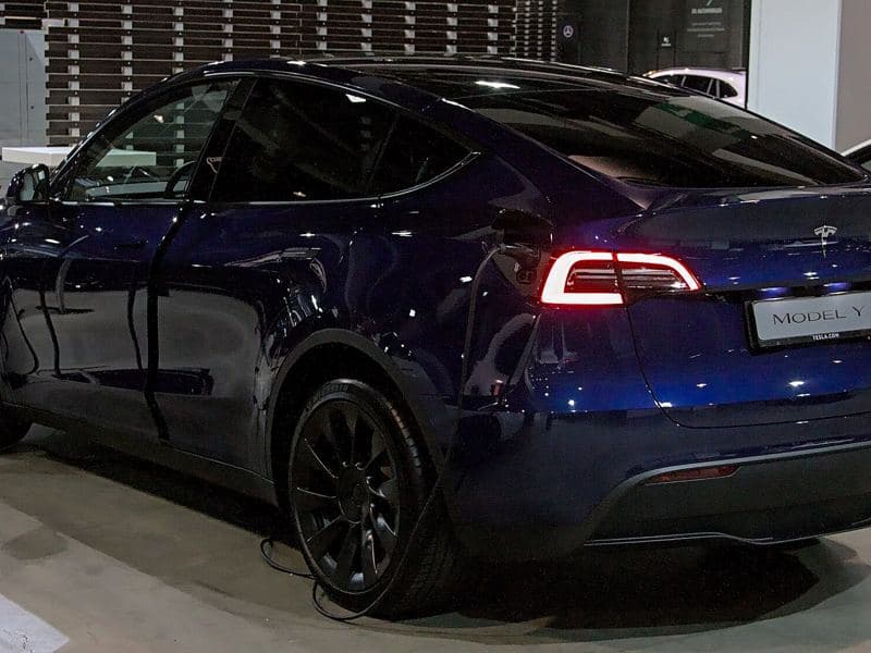 Model Y